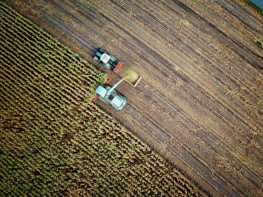 Die Bedeutung von Saatgutvielfalt für eine nachhaltige Landwirtschaft